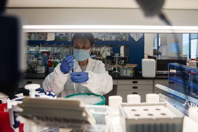Cancer Cells May Break Their Own DNA, Keeping Growth Genes at Full Volume, a Laboratory Study Suggests