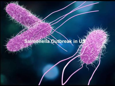 Salmonella outbreak linked to eggs & Mexican jalapeños: Over 400 fall sick across US; here's what CDC & FDA say and who is most at risk