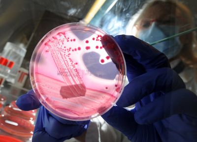 Extensively Drug Resistant Shigella Rose from Zero to 8.5 Percent of US Samples in CDC Surveillance Data