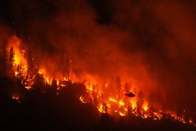 Climate change contributed to big Canada fires, study says as Trump blames mismanagement
