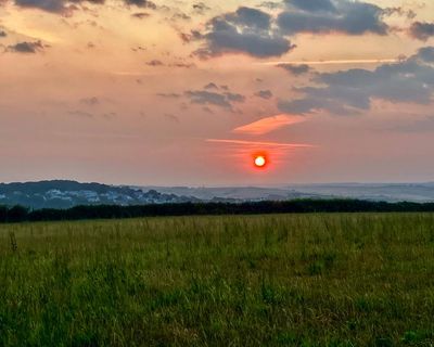 Country diary: Even in a heatwave, signs of last winter storms still linger