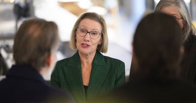 'Overly litigious and combative': call for investigation into CIT chief executive