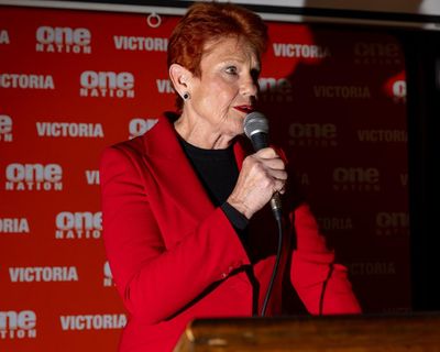 ‘Orange elephant in the room’: Pauline Hanson’s political rise is inspiring racism, inquiry hears