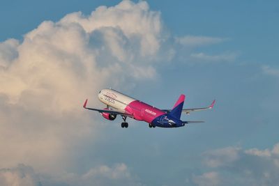 Major airline reports huge loss as Iran war sends fuel costs soaring