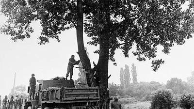 When an American officer tried to cut down a tree, North Korean soldiers attacked with axes, bringing the US and North Korea to the brink of war
