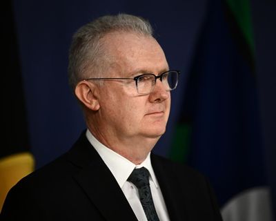 ‘Performative reductions’: Labor MPs and business groups urge Burke against sweeping immigration changes