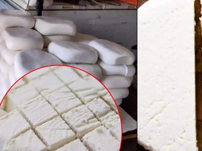Paneer Purity Test: Amid analogue paneer ban, here's how to identify pure vs fake cottage cheese & 6 protein-rich alternatives