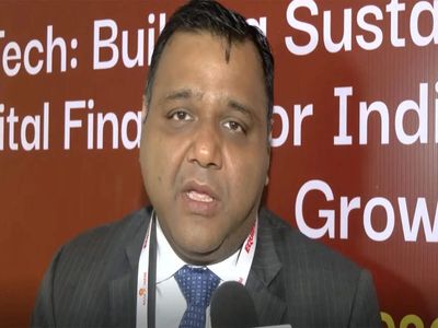 UPI no challenge to Mastercard, has expanded digital payments: Exec