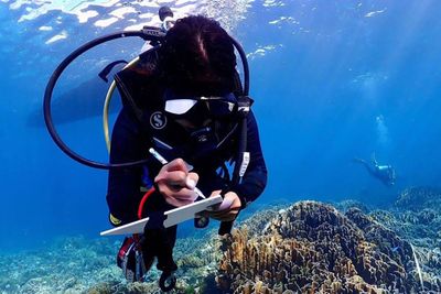 House committee member who criticised Similan park lodging faces probe