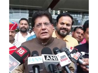 "No one takes Rahul Gandhi seriously; no wrong was done": Piyush Goyal on Lok Sabha LoP's remarks against Amit Shah