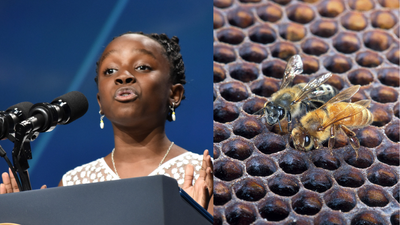 Meet Mikaila Ulmer, who turned a childhood fear of bees into a lemonade business in 2009: By 2016, her drinks were entering 55 whole foods stores