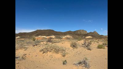 Beginning in 2007, South Korea planted about 3,046 hectares of forest in Mongolia to help combat desertification and reduce Gobi dust reaching the Korean Peninsula