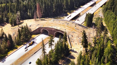 Oregon and Utah have built more than 130 wildlife crossings that could prevent deadly crashes and save both animals and human lives