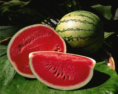 Light, sweet and easy to eat – why melons and other cool fruits rule August