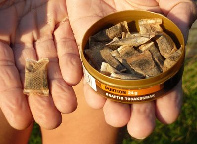 FDA Authorizes Four More Flavored Nicotine Pouches as Heart and Lung Groups Object