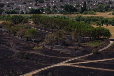 London firefighters battle 10 grass fires in a day amid drought