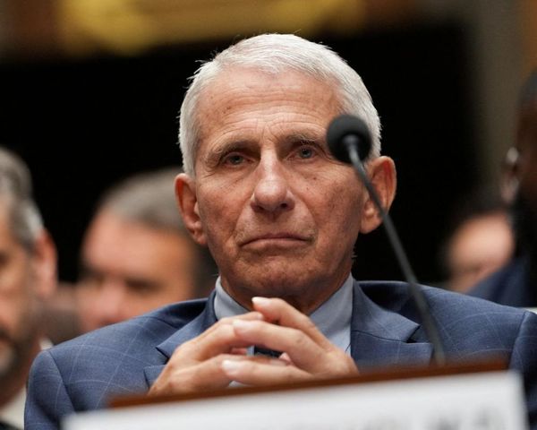 Senate committee says it has copy of Fauci’s phone as it weighs holding him in contempt