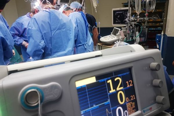 Organ Donation Group Accused of Trying To Harvest Organs From Patients Still Showing Signs of Life
