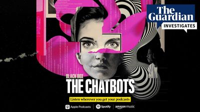 The Guardian confirms new season of Black Box