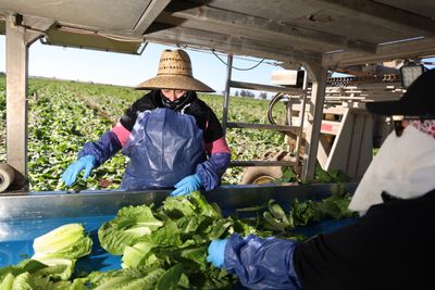FDA Warns a California Farm Over Serious Produce Safety Violations Found in a Spring Inspection