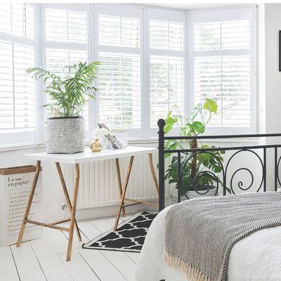 5 heat-loving houseplants that thrive in bright, sunny windowills and stuffy rooms – they’re perfect for south-facing windowsills