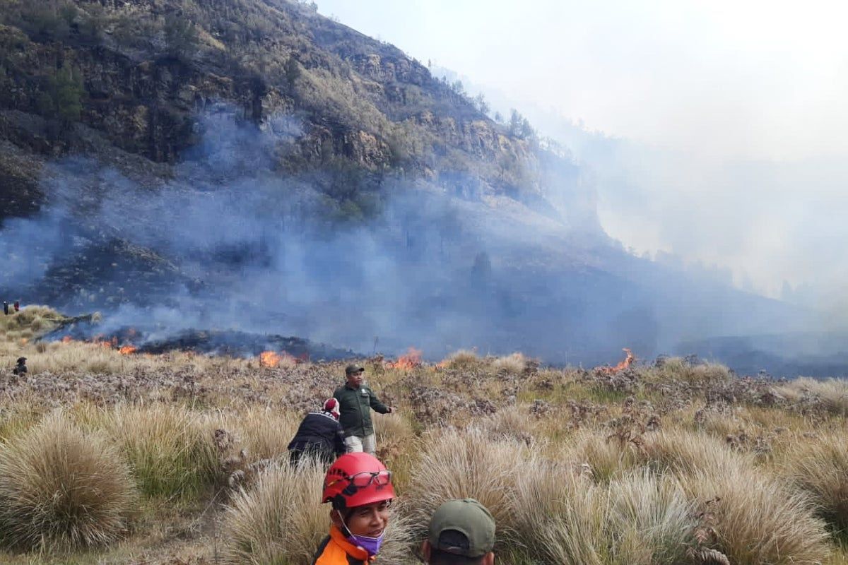 Fire burns 60 hectares in Indonesia’s Mount Bromo…