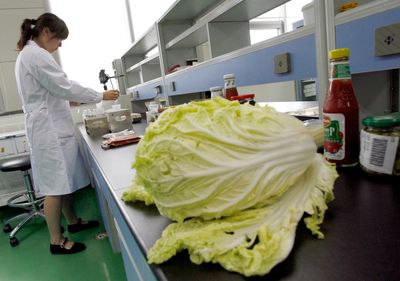 FDA's Overhaul of Food Ingredient Safety Review Clears the White House, Setting Up a Rule Decades in the Making