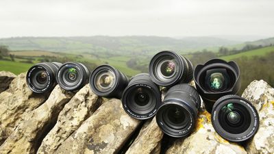 Full-frame photographers are more likely to have nearly twice as many lenses as crop sensor camera users, hints the latest data from Japan