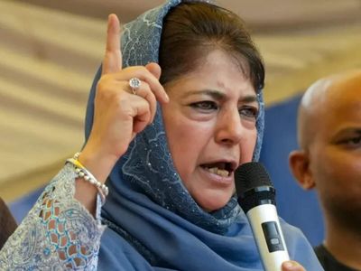 FIR filed against Mehbooba, daughter for 'assault' on cop during Article 370 protest