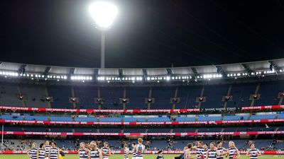 Scrutiny increases on AFL, Geelong over concussion case