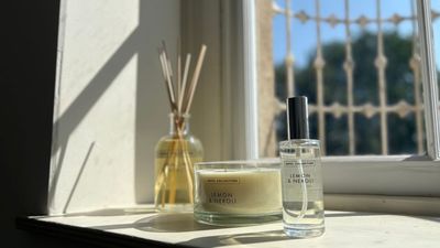 I'm a candle snob – but Aldi's £9.99 home fragrance collection has won me over