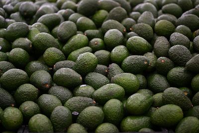 U.S. Suspends Avocado Inspections in Michoacán Over Threat to 'U.S. Interests'
