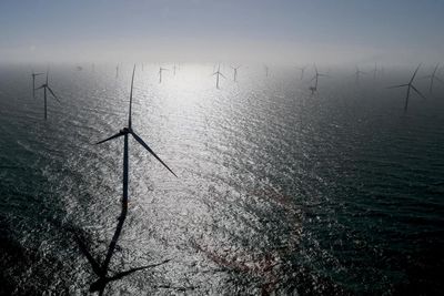 Trump administration to pay German firm $1.22bn to cut offshore wind leases
