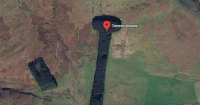 Felling begins on famous phallic tree formation near M74