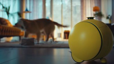 Samsung’s Ballie robot might not be dead after all, if this app UI leak is anything to go by