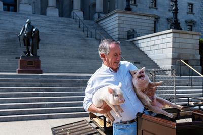 Capitol Lens | That’ll do, pig