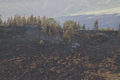 Part of wildfire cordon around village to be lifted on Friday morning