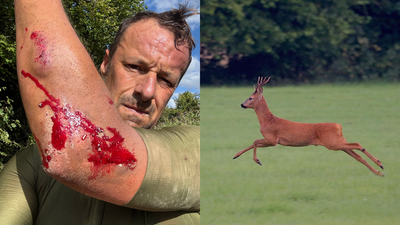 I crashed headfirst into a deer – it’s rutting season right now and gravel riders should be aware