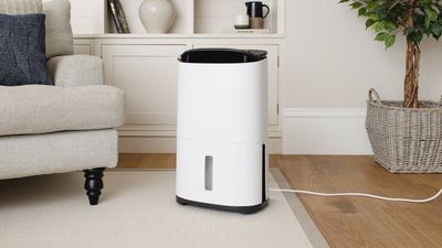 5 ways to use your dehumidifier to tackle this summer’s humidity, according to Meaco expert