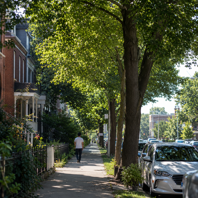 Chicago Neighborhoods That Lost Tree Cover Saw Higher Death Rates, and Modeling Suggests Planting Could Reverse Some of It