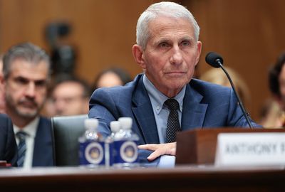 Fauci is an easy scapegoat