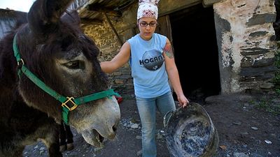 Why are vets fleeing rural Spain and what does it mean for animal rights?