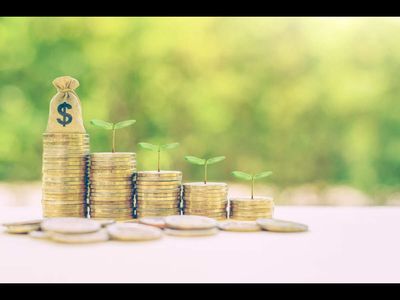 Best small cap mutual funds to invest in August 2026