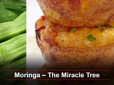 Superfood Moringa: No more bitter taste? Scientists find new ways to use every part of 'miracle tree' in cheela, muffins, cookies & more