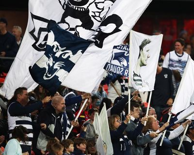 AFL’s tepid response to Geelong’s secret waiver neglects the true cost of concussion