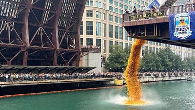 90,000 rubber ducks race down Chicago River for charity