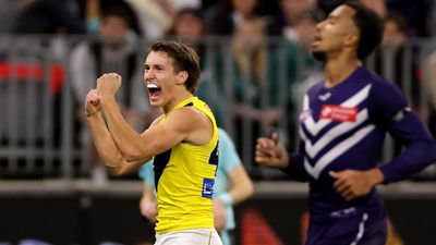 Young Tiger set to end two-year drought for AFL return