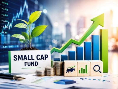 Sunil Singhania-backed Abakkus Small Cap Fund adds Indo-MIM and 2 others, exits Bank of Baroda and Cyient DLM