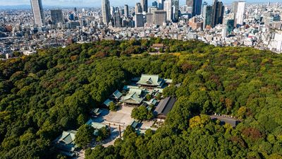 In 1915, Japan planned a forest designed to mature over 150 years; 110,000 volunteers later planted 100,000 donated trees