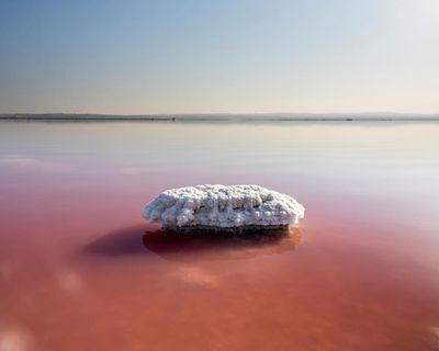 The best recent science fiction, fantasy and horror – review roundup